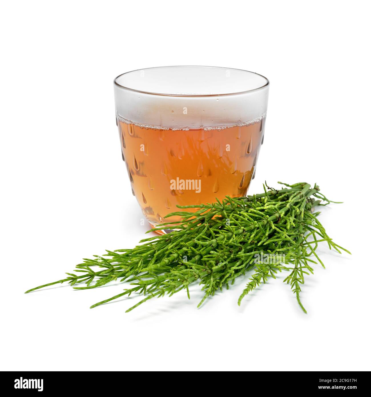 Coppa Glas con tè alle erbe con campo caldo e ramoscelli verdi freschi da vicino isolati su sfondo bianco Foto Stock