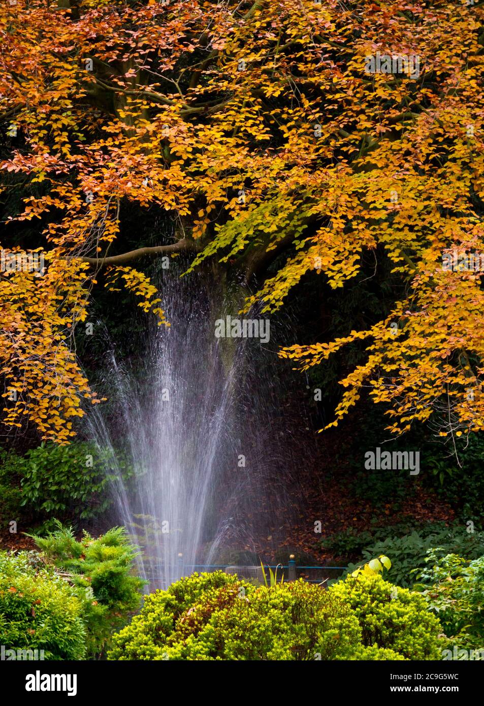 Alberi d'autunno e fontana in Derwent Gardens nel villaggio di Matlock Bath nel Derbyshire Peak District Inghilterra Regno Unito Foto Stock