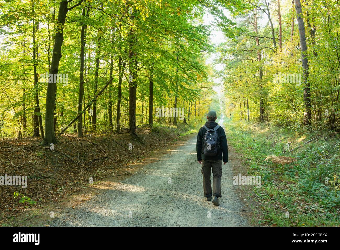 Un uomo con uno zaino che attraversa la foresta, giorno di sole Foto Stock
