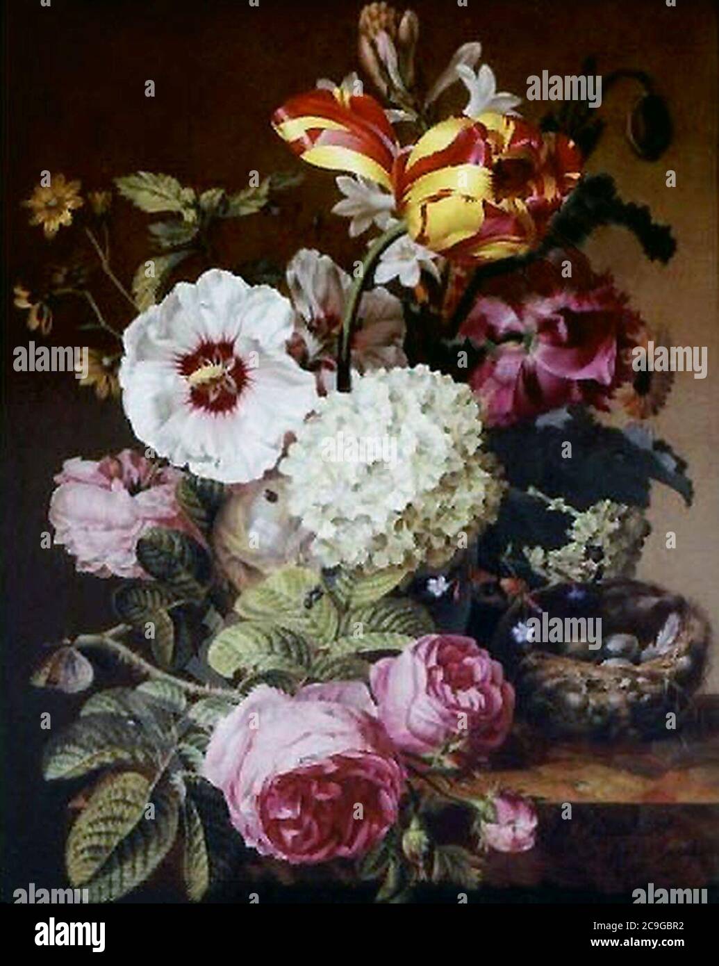 Jacques Barraband 1797 Fiori di Still Life w Uccelli Nido. Foto Stock