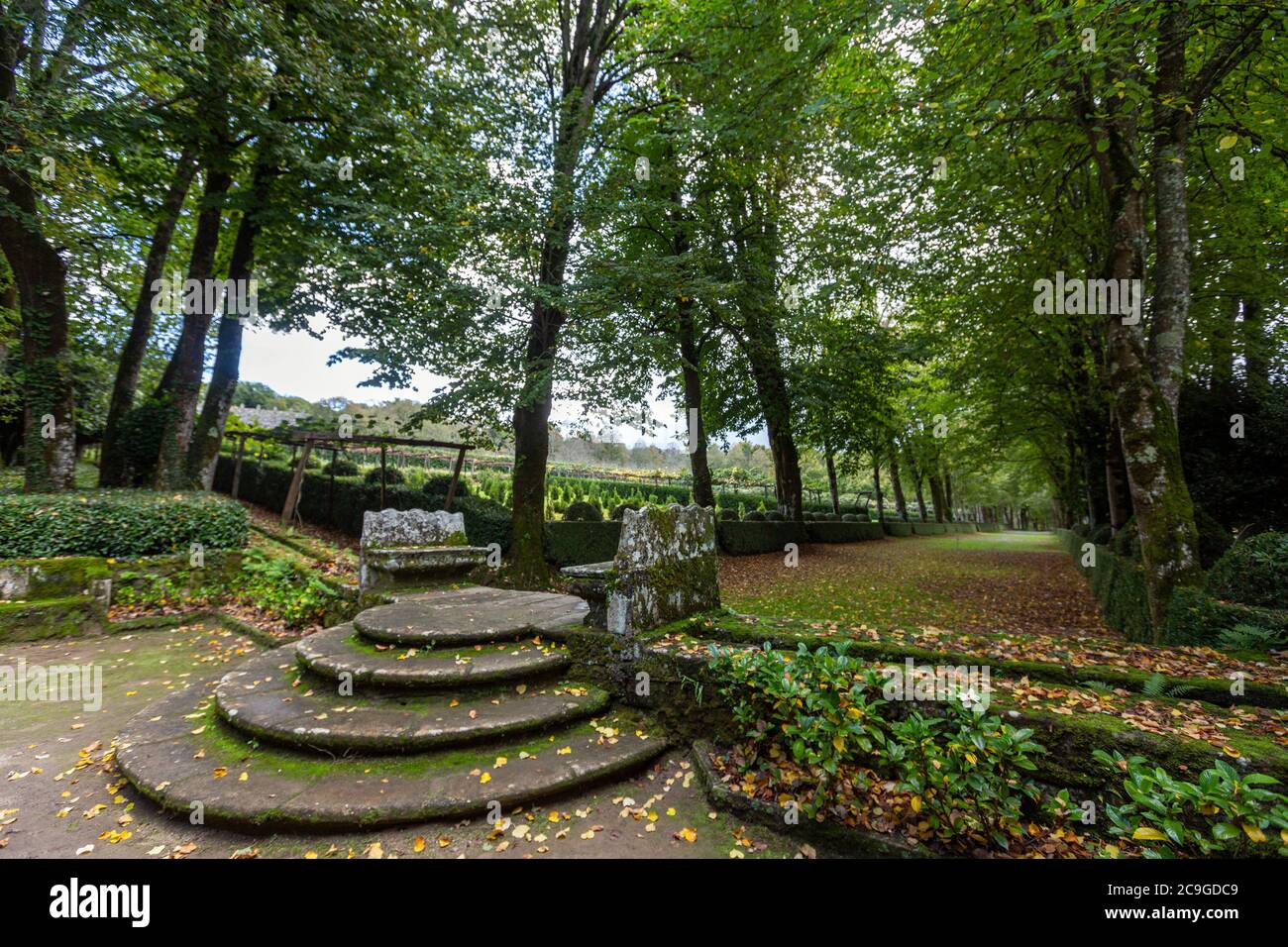 Il viale di alberi di lime e sede in pietra nel giardino di Pazo de Oca, A Estrada, Galizia, sapin Foto Stock