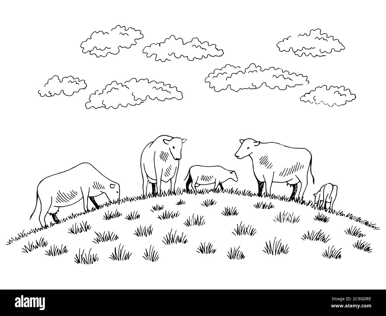 Mucche che nutrono erba sulla collina grafica nero bianco disegno vettore illustrazione Illustrazione Vettoriale