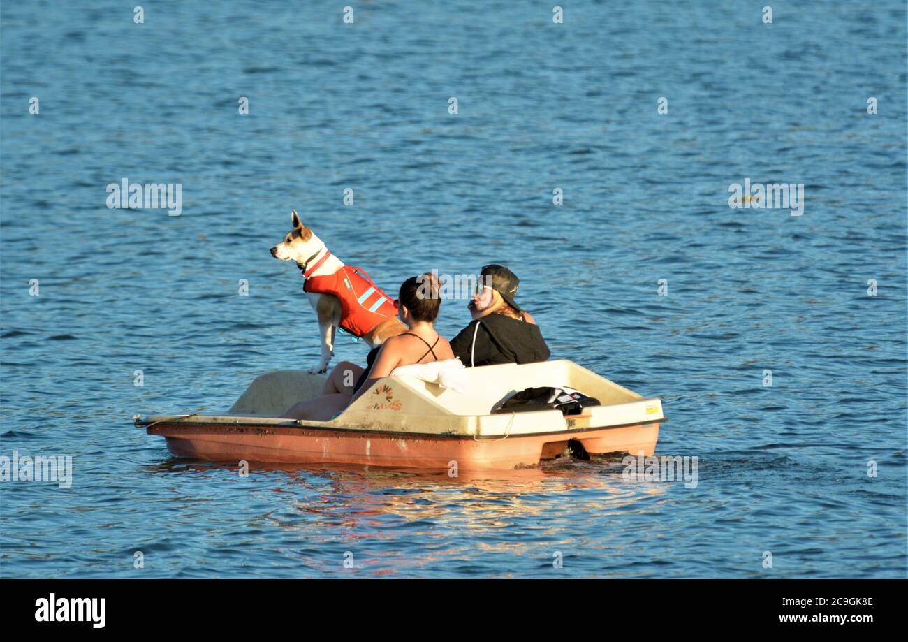 Due donne nella loro barca a pale sul Clearlake con loro in estate potrai fare un giro in compagnia di un cane Foto Stock