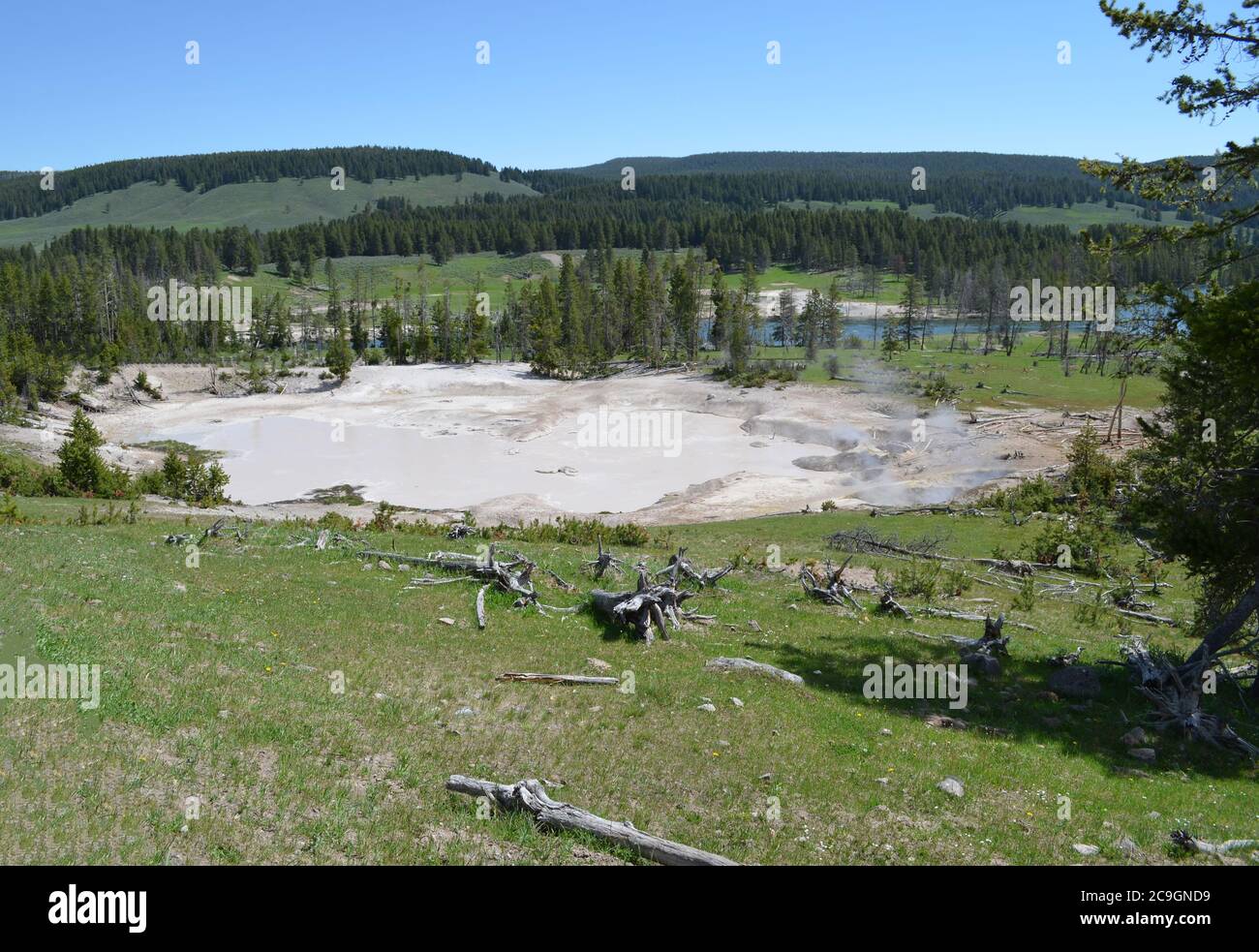 Primavera tarda nel Parco Nazionale di Yellowstone: Affacciato sul Geyser Mud nell'area del Vulcano Mud lungo il fiume Yellowstone Foto Stock