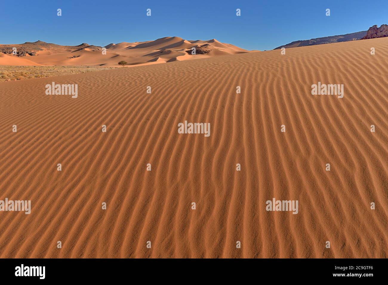 TADRART ROUGE , ALGERIA. DESERTO DEL SAHARA. TIN MERZOUGA E MOUL N AGA DUNE DESERTICHE E MODELLI DI SABBIA. Foto Stock