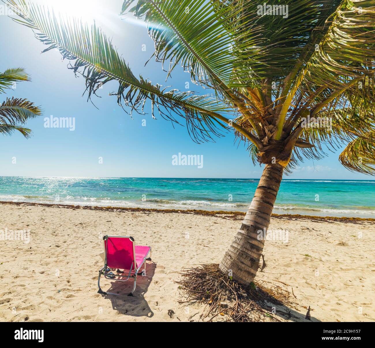 Sedia da spiaggia da una palma in Raisins Clairs spiaggia in Guadalupa, francese ovest indie. Piccole Antille, Mar dei Caraibi Foto Stock