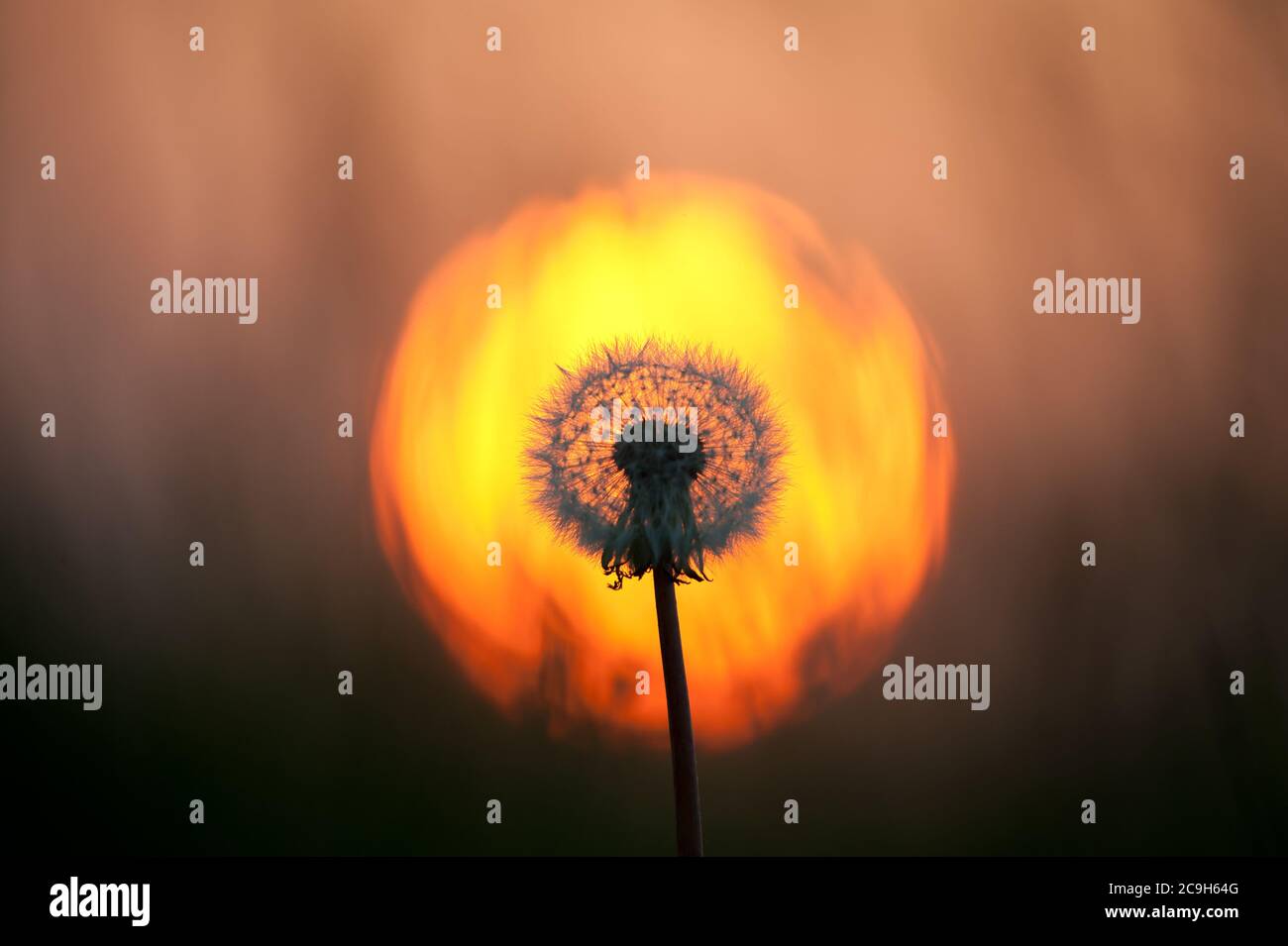 I galleggianti settentrionali del ghiaccio artico si rompono in questa vista grandangolare con il sole che tramonta all'orizzonte Foto Stock