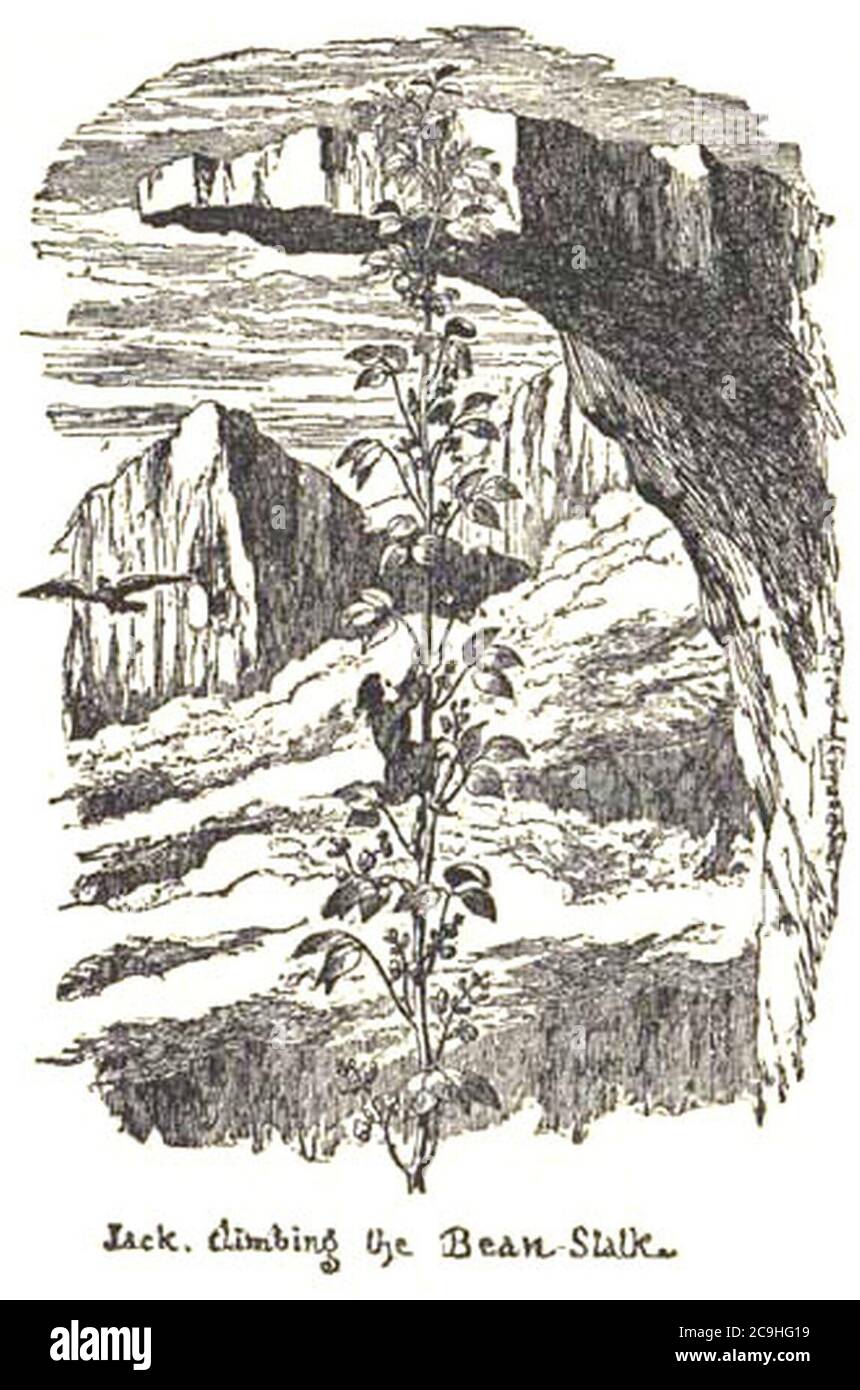 Martinetto e albero di crociera Beanstalk 1854. Foto Stock