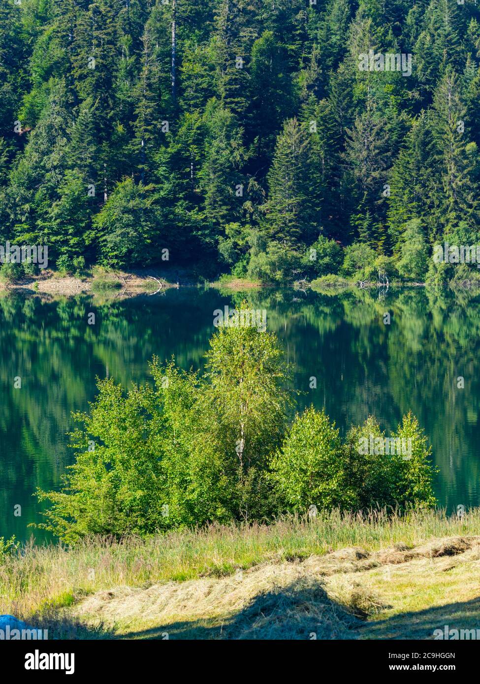 Bella natura del lago di Lokve in Croazia l'Europa ha conservato l'ambiente naturale Foto Stock