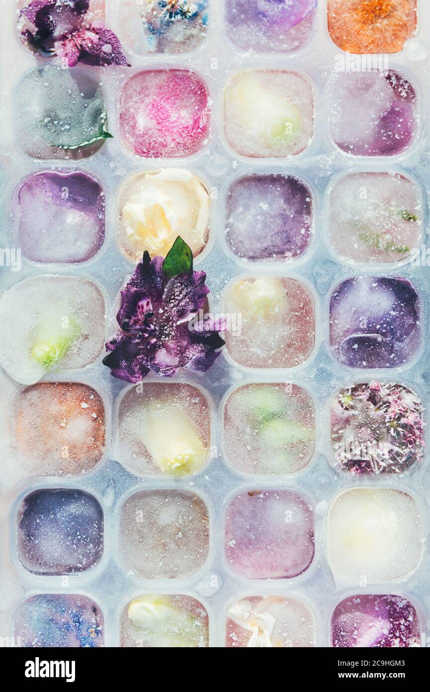Fiori congelati in cubetti di ghiaccio Foto Stock