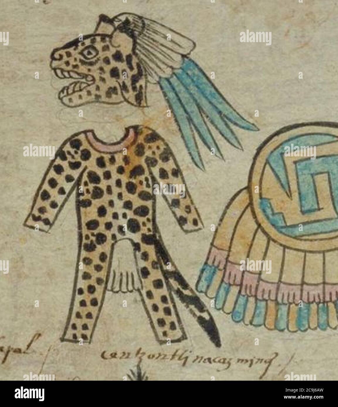 Jaguarkostüm aus einer Steuerliste der Azteken (zwischen 1520-1530). Foto Stock