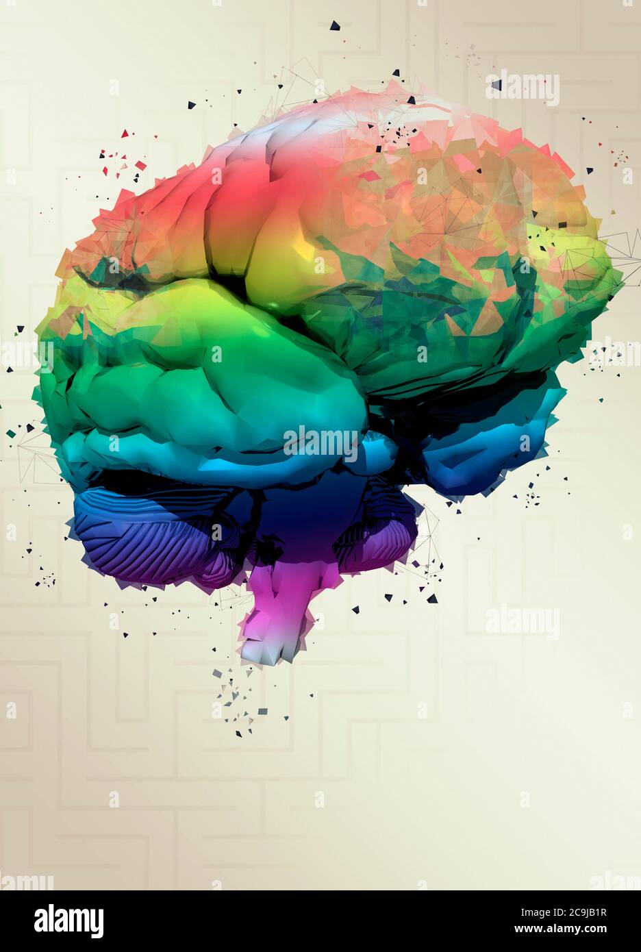 Cervello umano multicolore, illustrazione. Foto Stock