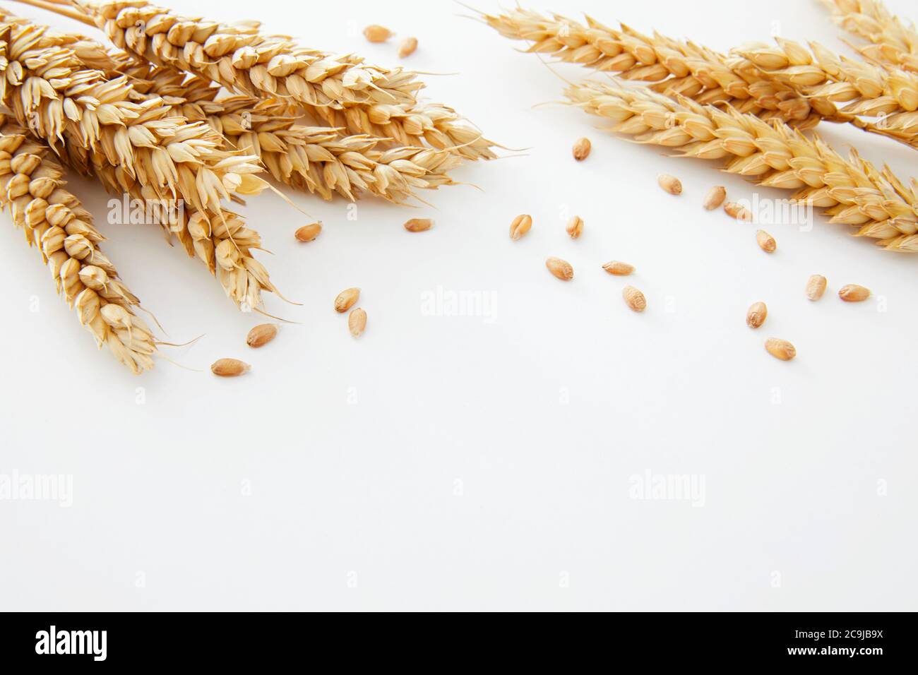 Grano su uno sfondo bianco. Foto Stock