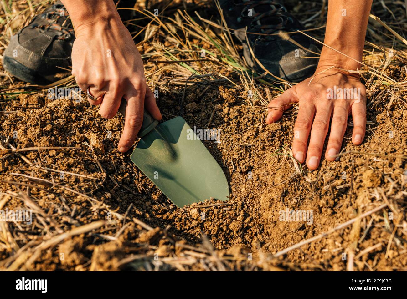 Processo di campionamento del suolo. Donna agronomista che prende il campione di terreno per l'analisi della fertilità. Foto Stock