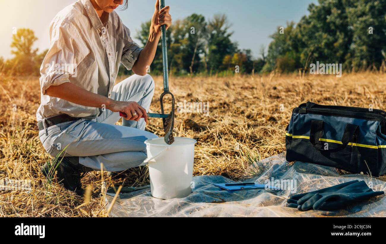 Campionamento del suolo. Agronomo femmina che preleva il campione con campionatore per sonda per terreno. Foto Stock