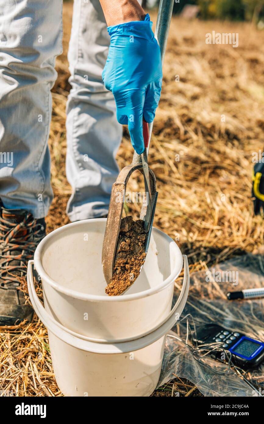 Campionamento del suolo. Agronomo femmina che preleva il campione con campionatore per sonda per terreno. Foto Stock