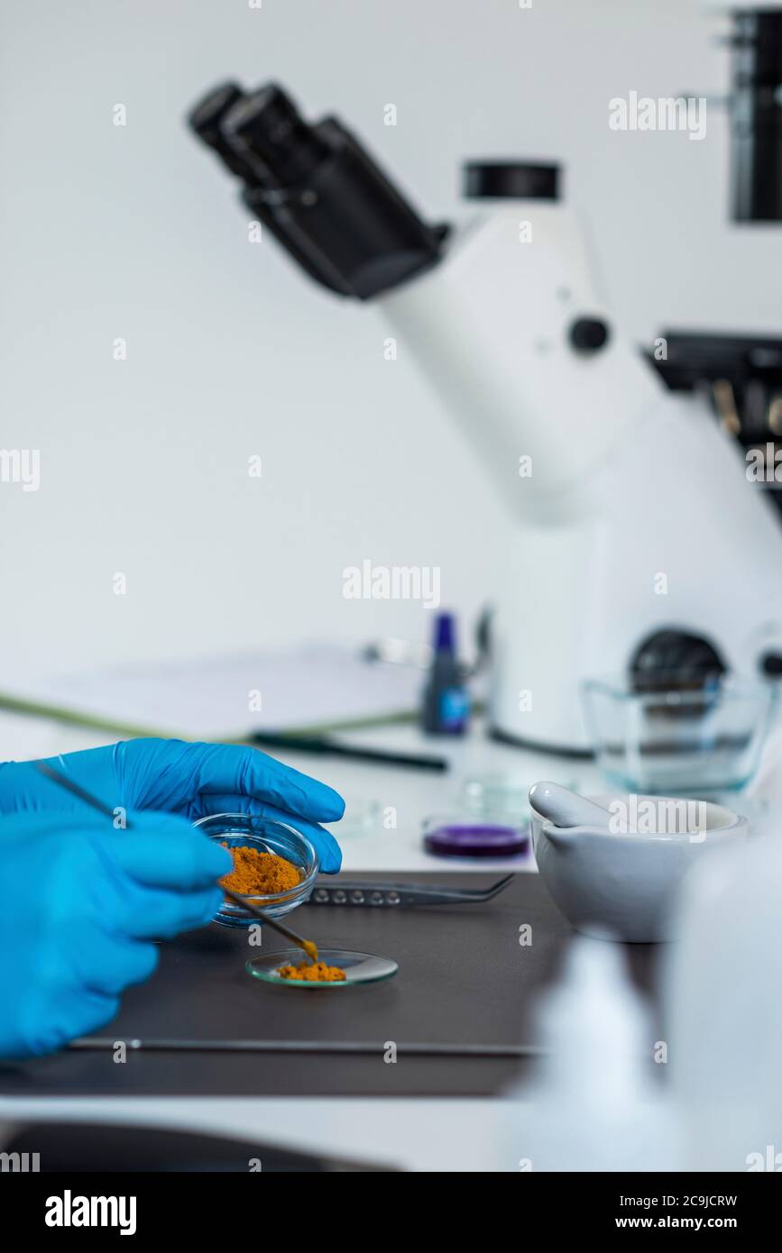 Esperto di controllo qualità che ispeziona la curcuma in laboratorio. Foto Stock