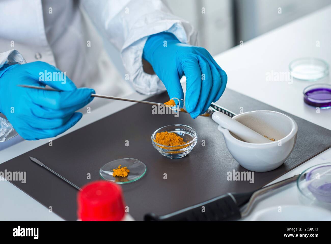 Esperto di controllo qualità che ispeziona la curcuma in laboratorio. Foto Stock