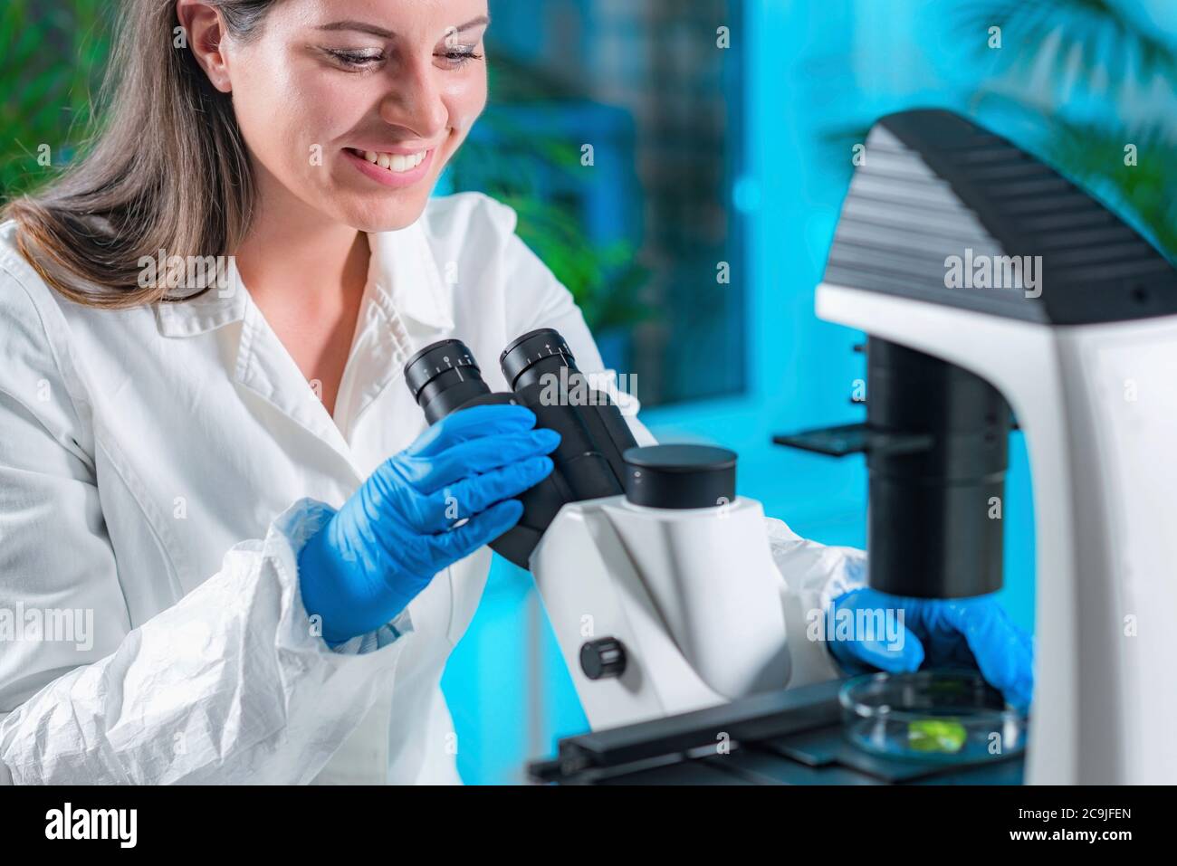 Tecnico di laboratorio che esamina il tessuto vegetale con microscopio. Foto Stock