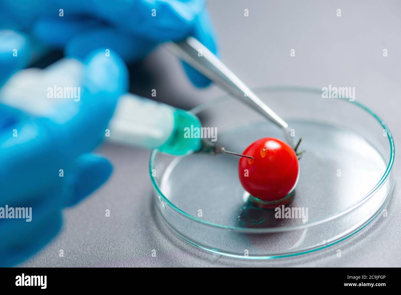 Alimenti geneticamente modificati, immagine concettuale . Foto Stock