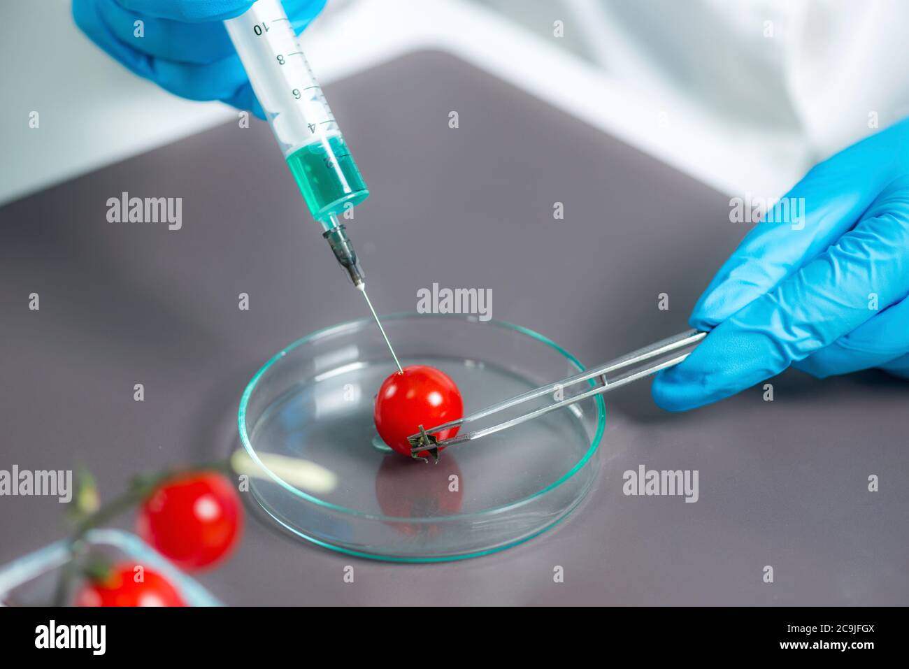 Alimenti geneticamente modificati, immagine concettuale . Foto Stock