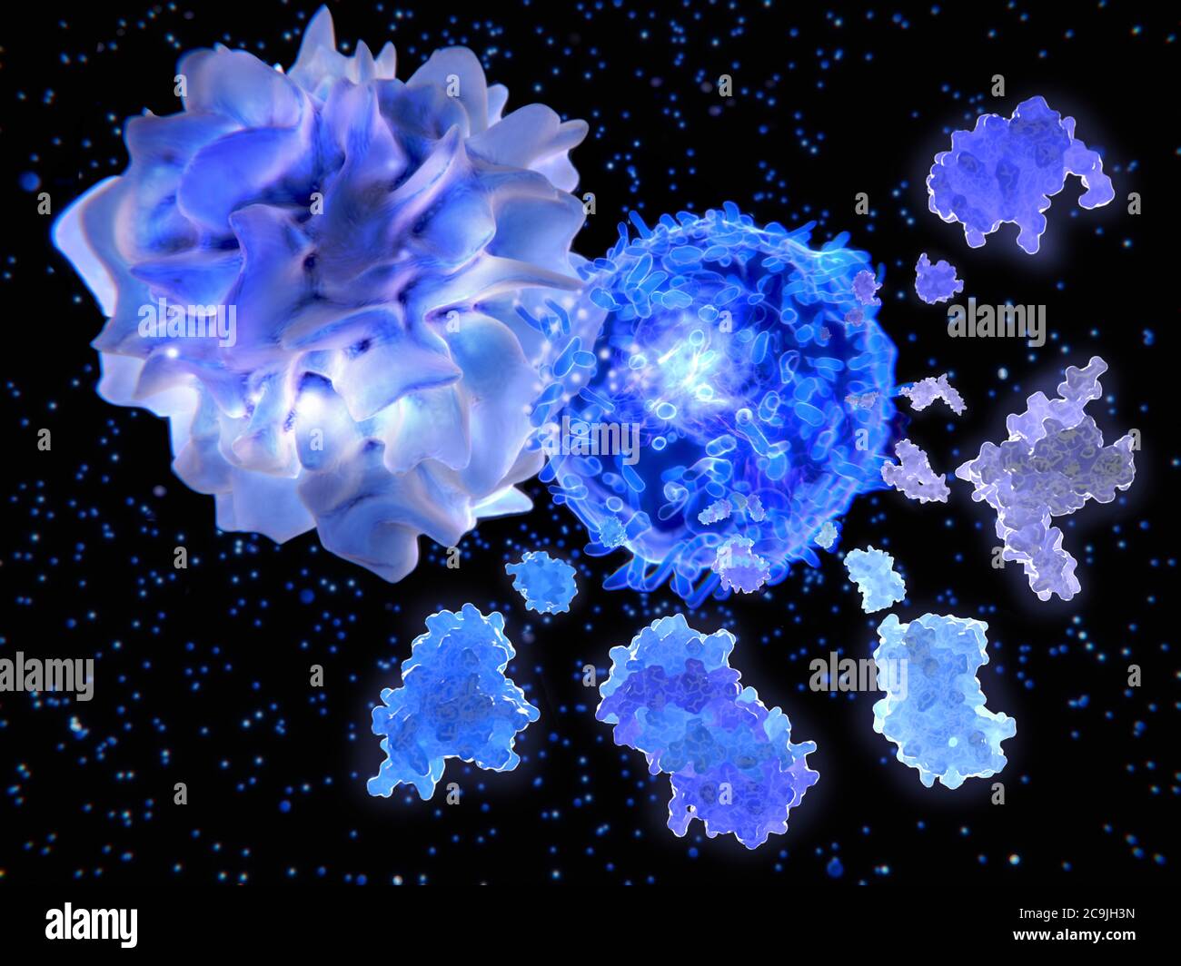 T cellule helper e molecole di interleuchina, illustrazione. Le cellule T helper svolgono un ruolo importante nel sistema immunitario. Dopo attivazione da parte di un antigene-pres Foto Stock