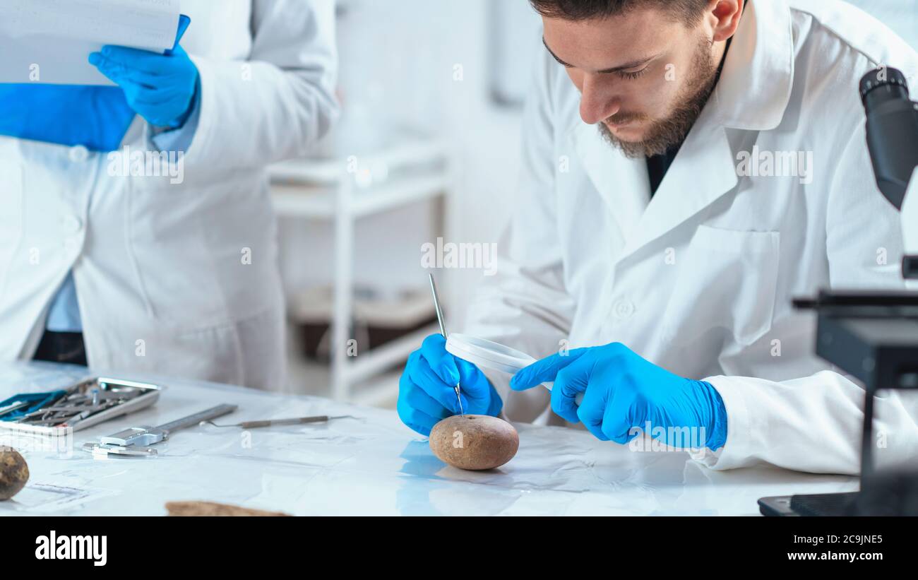 Archeologo analizzando manufatti antichi, peso del telaio o peso della rete da pesca. Foto Stock