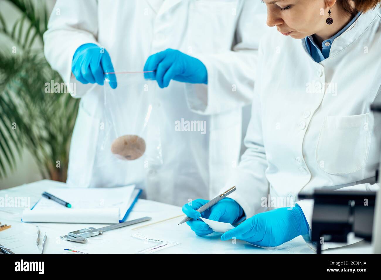 Archeologo maschile mettendo peso antico in un sacchetto di plastica, archeologo femminile che contrassegna l'artefatto preistorico con il numero di serie. Foto Stock