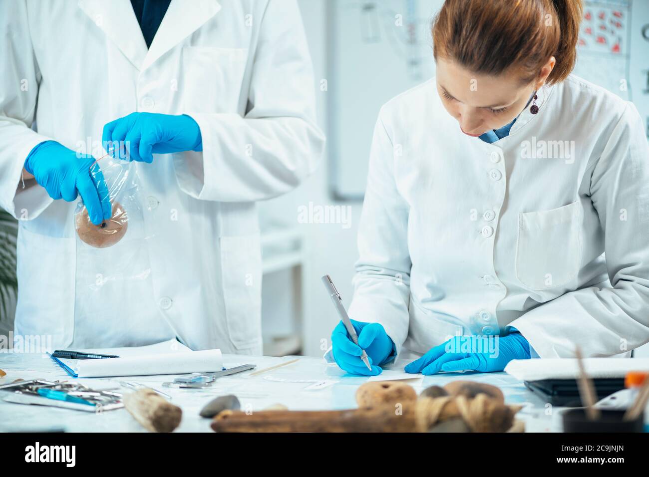 Archeologo maschile mettendo peso antico in un sacchetto di plastica, archeologo femminile che contrassegna l'artefatto preistorico con il numero di serie. Foto Stock
