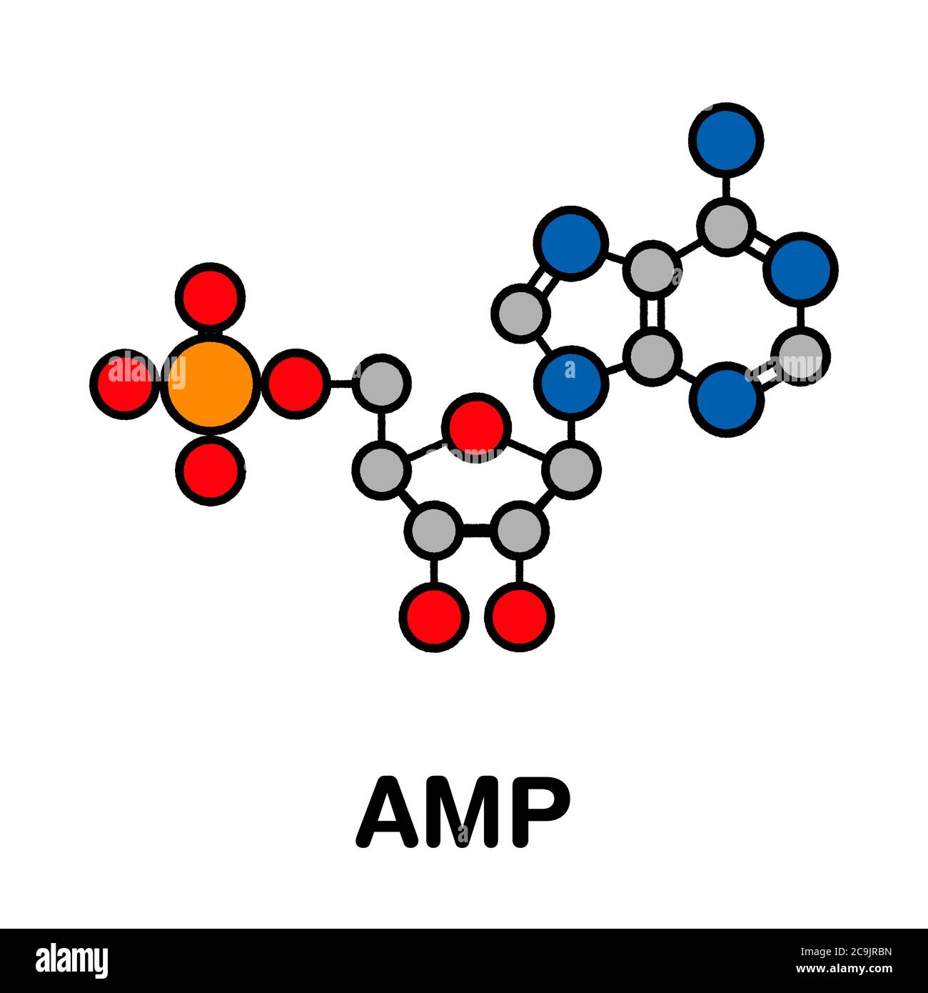Molecola di adenosina monofosfato (AMP, acido adenilico). Monomero nucleotidico di RNA. Composto da parti di fosfato, ribosio e adenina. Scheletro stilizzato Foto Stock