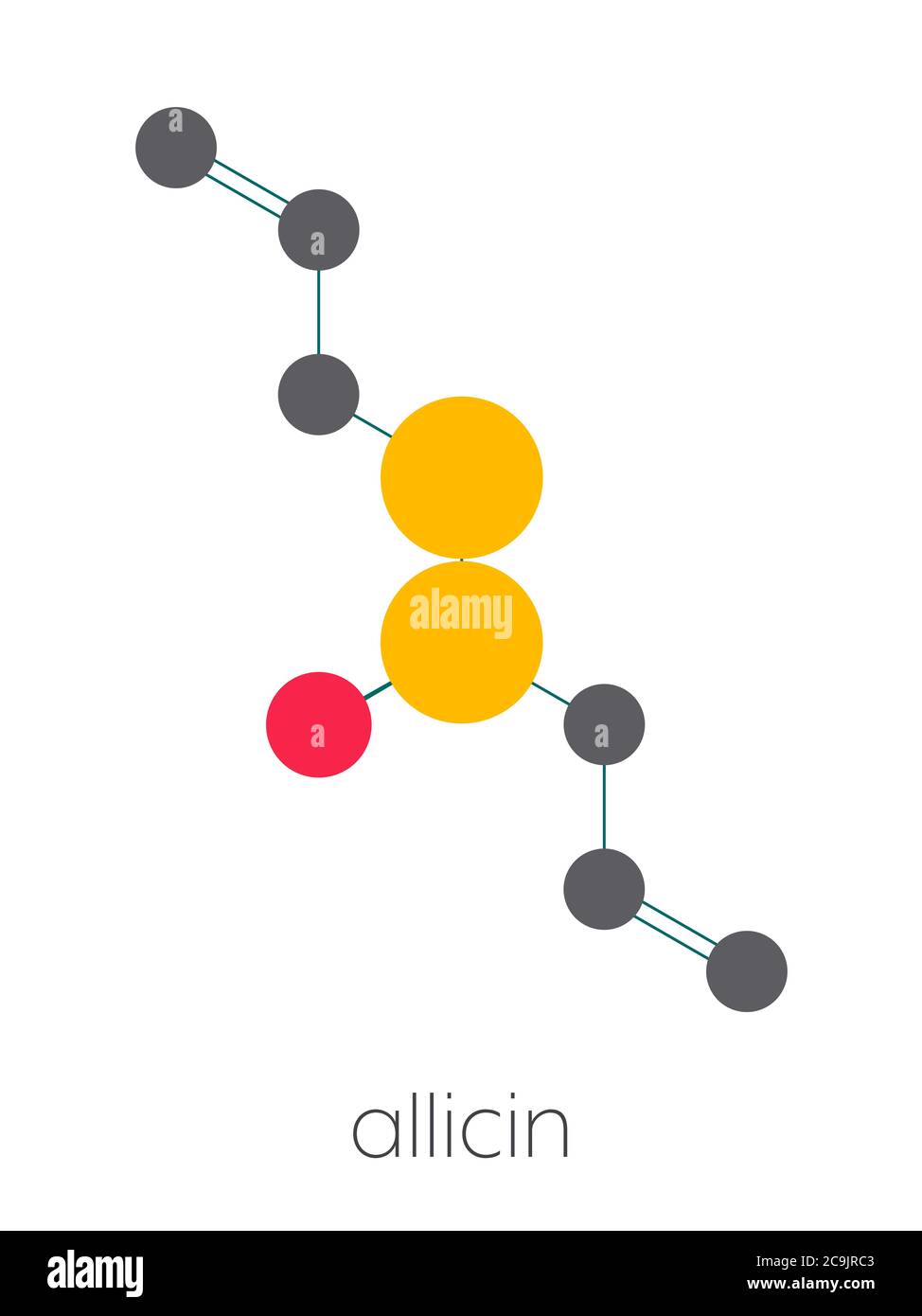 Molecola di aglio allicina. Formato da alliina dall'enzima alliinasi. Creduto avere un certo numero di effetti positivi di salute. Formula scheletrica stilizzata ( Foto Stock