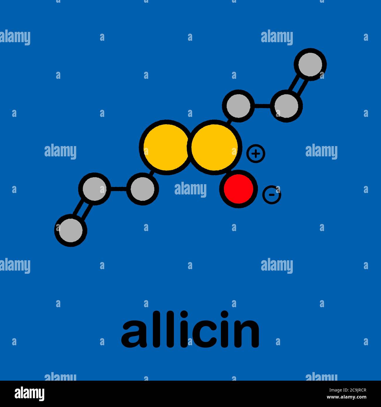 Molecola di aglio allicina. Formato da alliina dall'enzima alliinasi. Creduto avere un certo numero di effetti positivi di salute. Formula scheletrica stilizzata ( Foto Stock