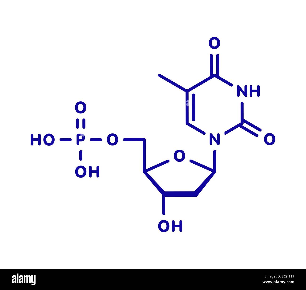 Molecola nucleotidica di timidina monofosfato (TMP, timidilato). Blocco di costruzione del DNA. Formula scheletrica blu su sfondo bianco. Foto Stock