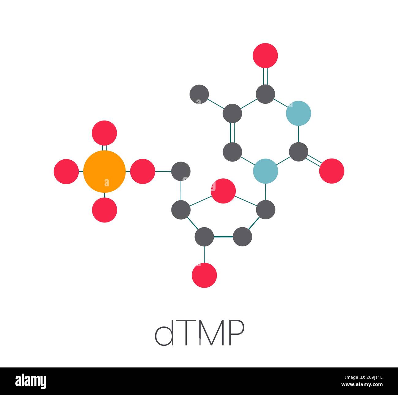 Molecola nucleotidica di timidina monofosfato (TMP, timidilato). Blocco di costruzione del DNA. Formula scheletrica stilizzata (struttura chimica). Gli atomi sono mostrati come Foto Stock