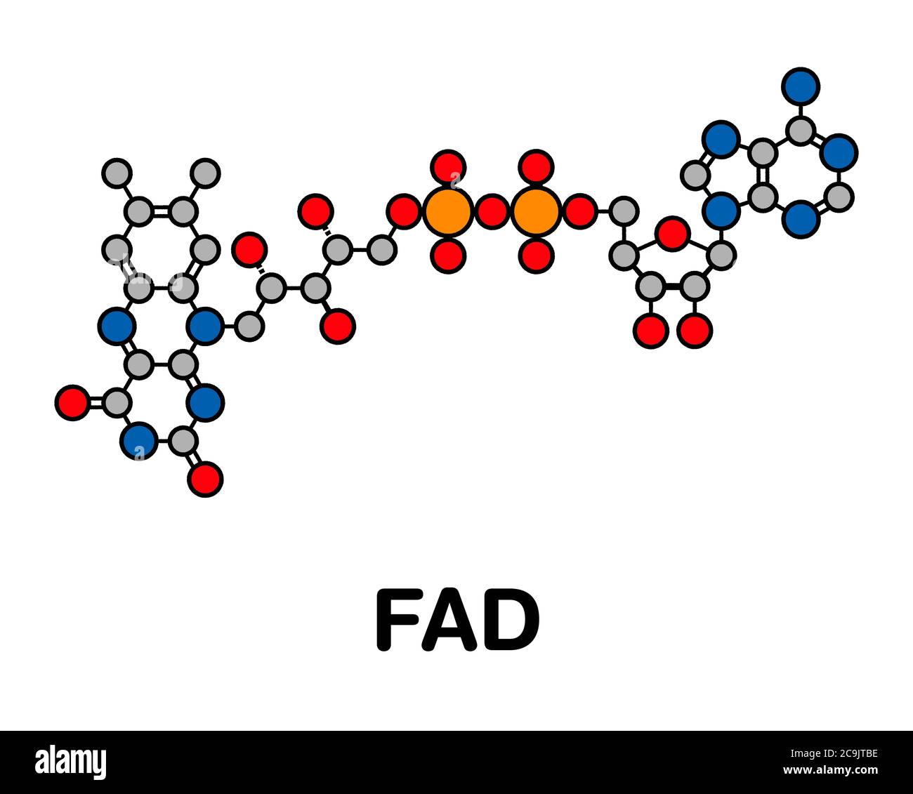 Molecola di coenzima redox di Flavin adenin dinucleotide (FAD). Formula scheletrica stilizzata (struttura chimica). Gli atomi vengono visualizzati come cerchi codificati con colori con Foto Stock