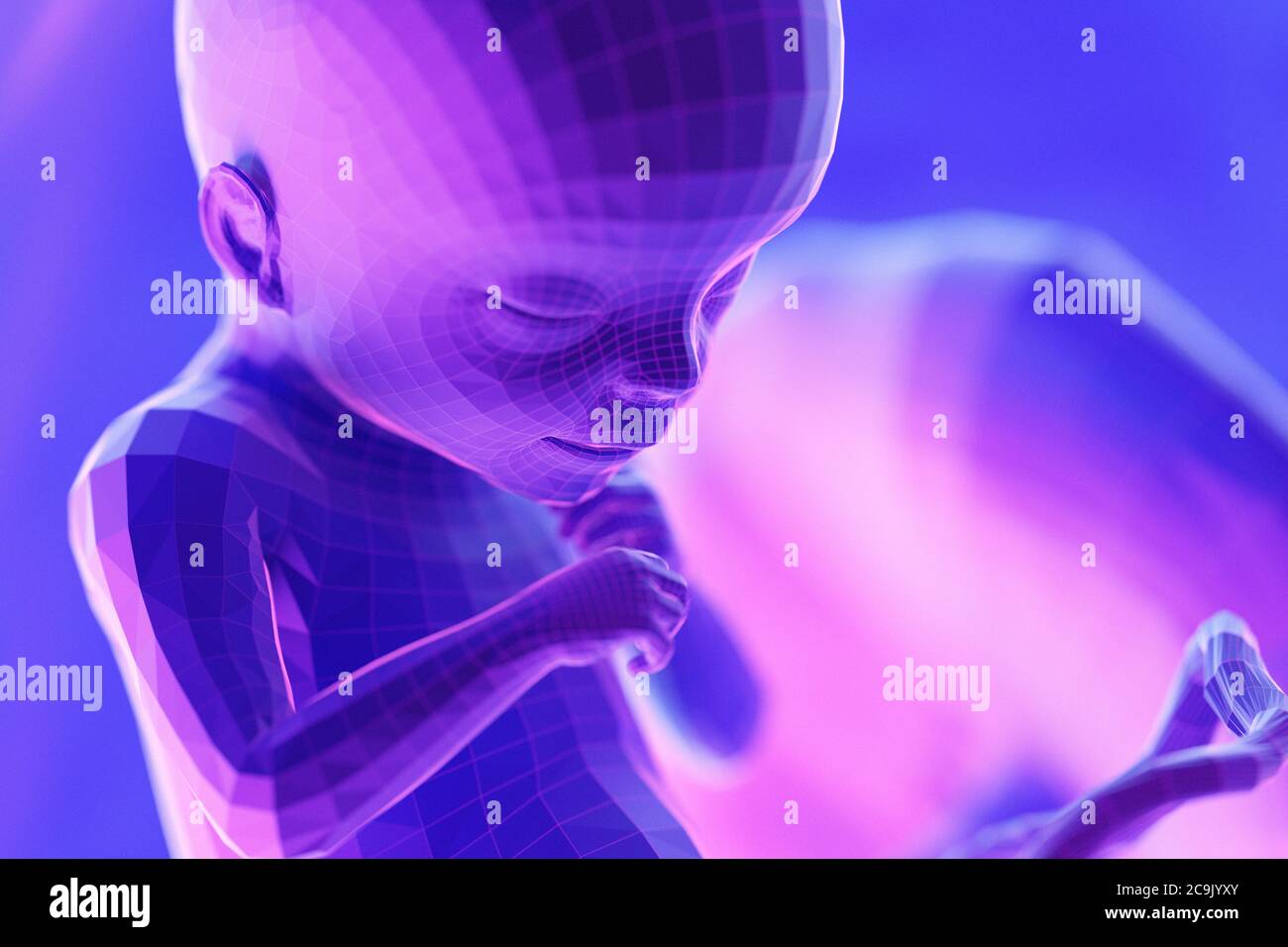 Feto, settimana 18, illustrazione. Foto Stock