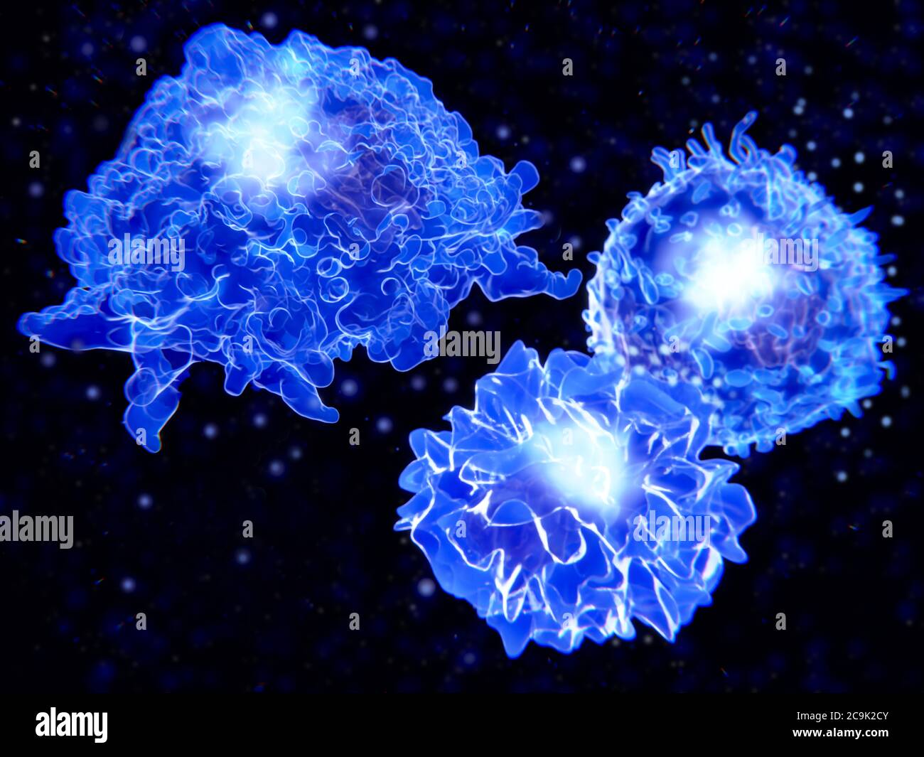 Illustrazione di un macrofago (in alto a sinistra), di una cellula T (in alto a destra) e di una cellula che presenta antigene (APC, in basso a destra). Si tratta di tutti i tipi di globuli bianchi Foto Stock