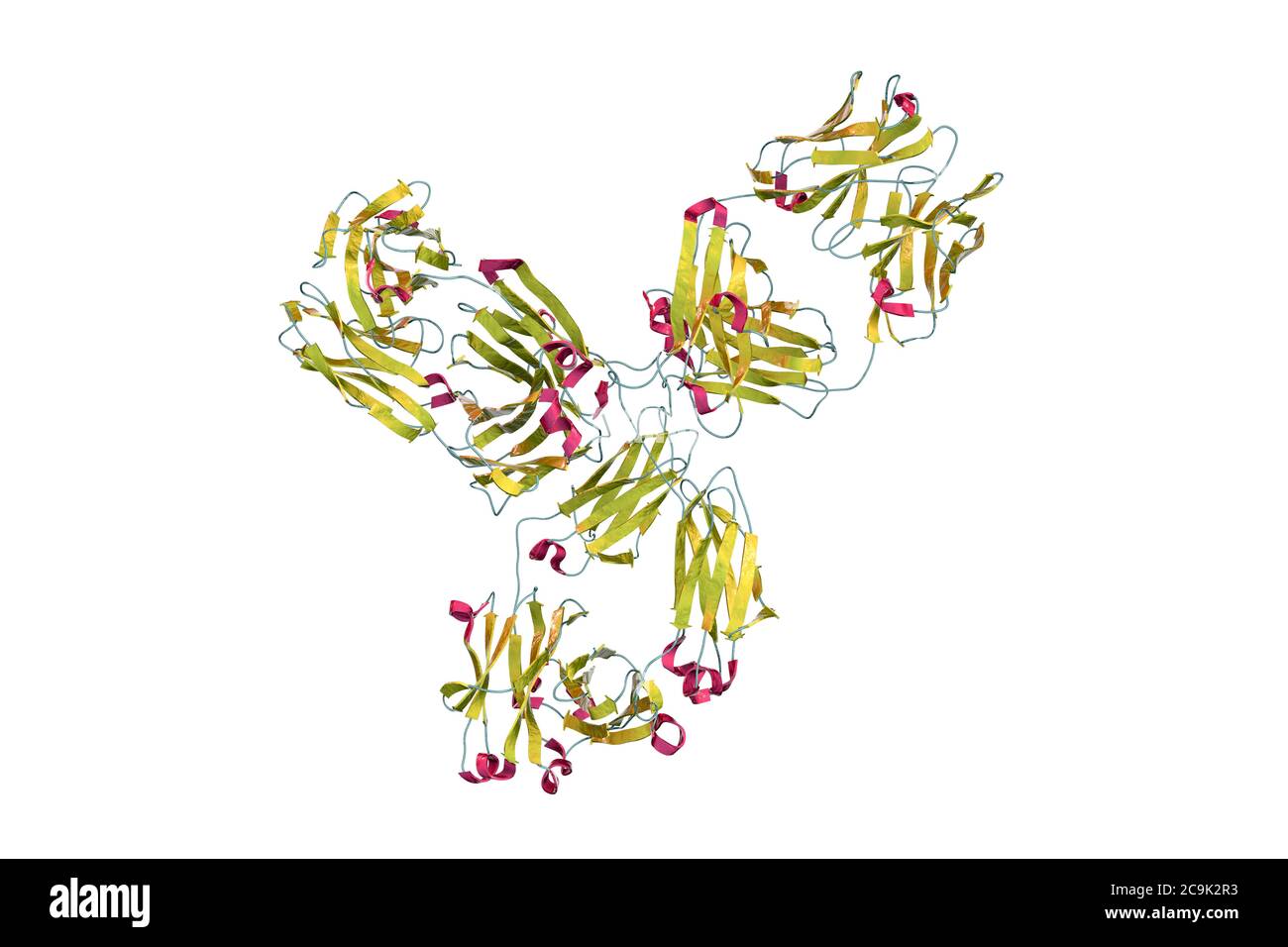 Pembrolizumab. Modello informatico che mostra la struttura dell'anticorpo pembrolizumab. Si tratta di un anticorpo umanizzato IgG4 utilizzato in immunoterapia oncologica, Foto Stock