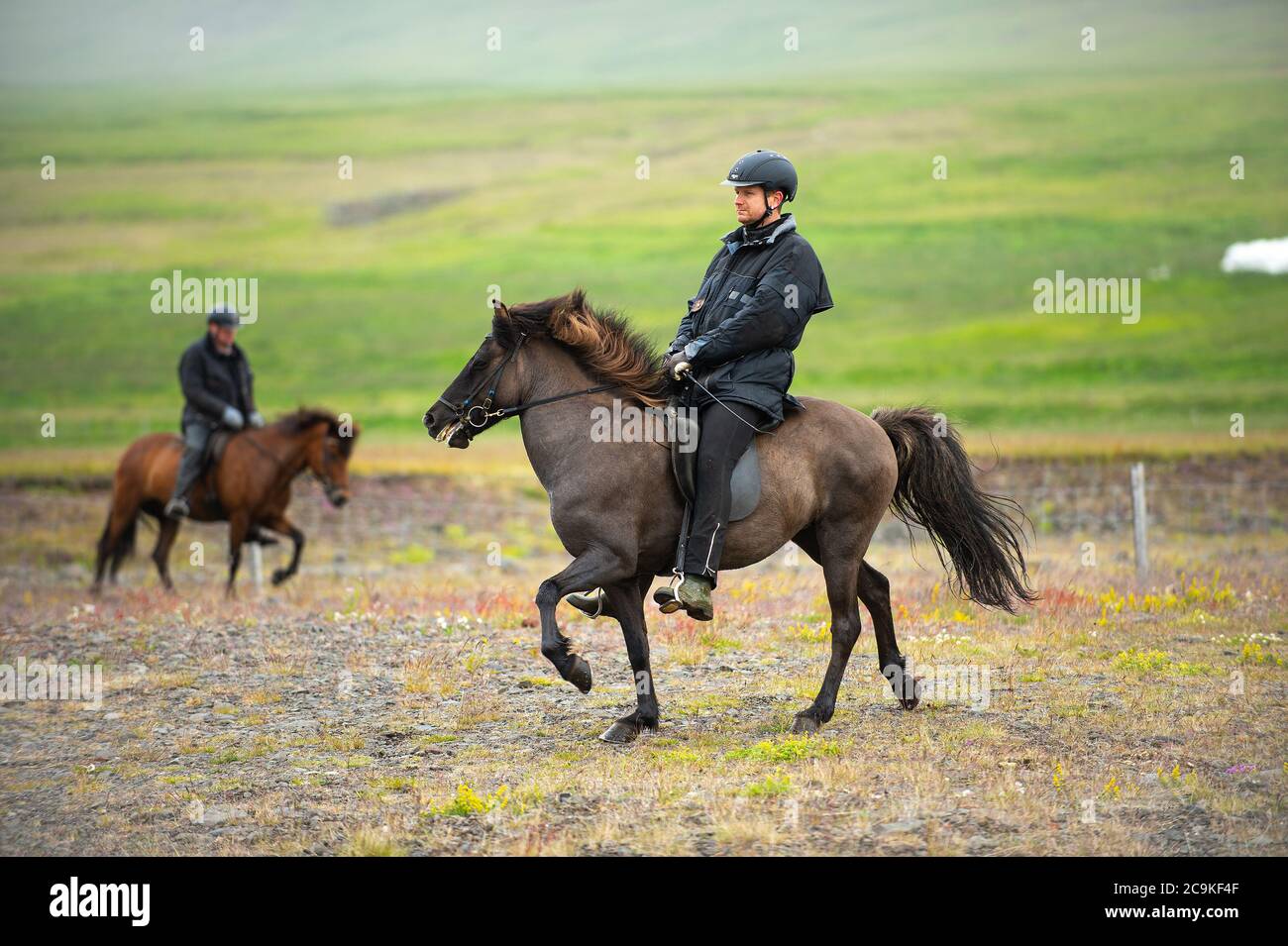 Blonduos / Islanda - 2015 luglio 12 : un gruppo di uomini che indossano caschi e tute da equitazione a cavallo e di controllo cavalli per la visualizzazione in una fattoria rurale in islandese Foto Stock