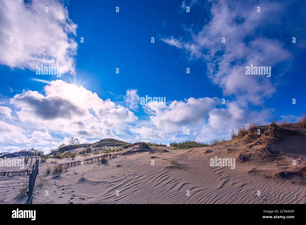 Belle dune grigie, dune morte alla spida curoniana a Nida, Neringa, Lituania Foto Stock