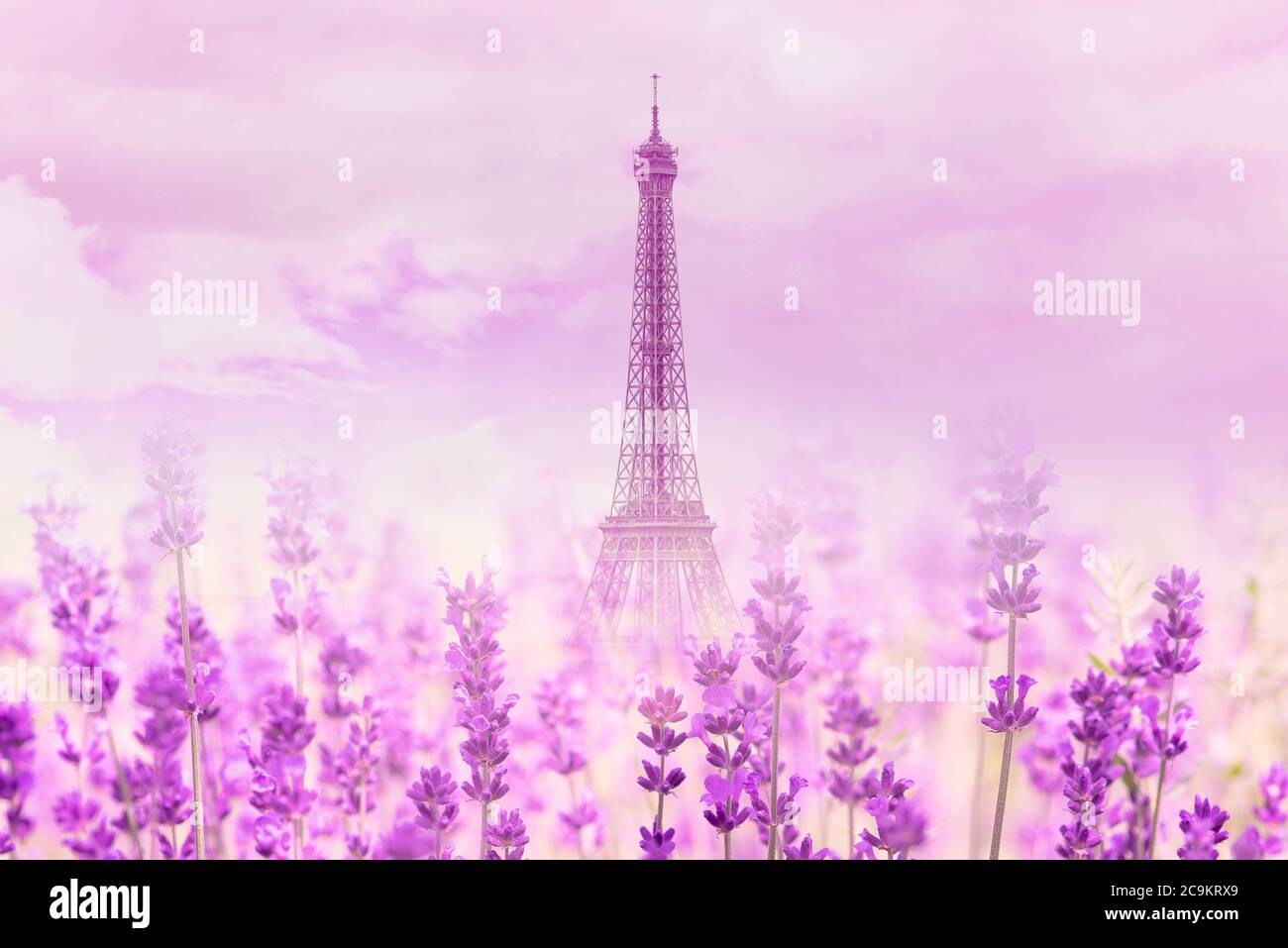 Vista non tipica della Torre Eiffel a parigi con fiori di lavanda, paesaggio estivo, spazio per il testo Foto Stock