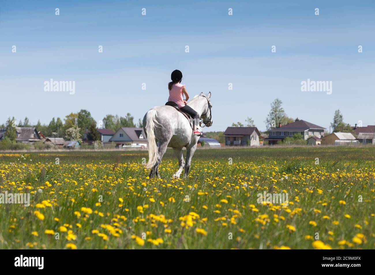 La bambina cavalcava un cavallo bianco razza trotter su un prato al sole giorno d'estate, vista posteriore Foto Stock