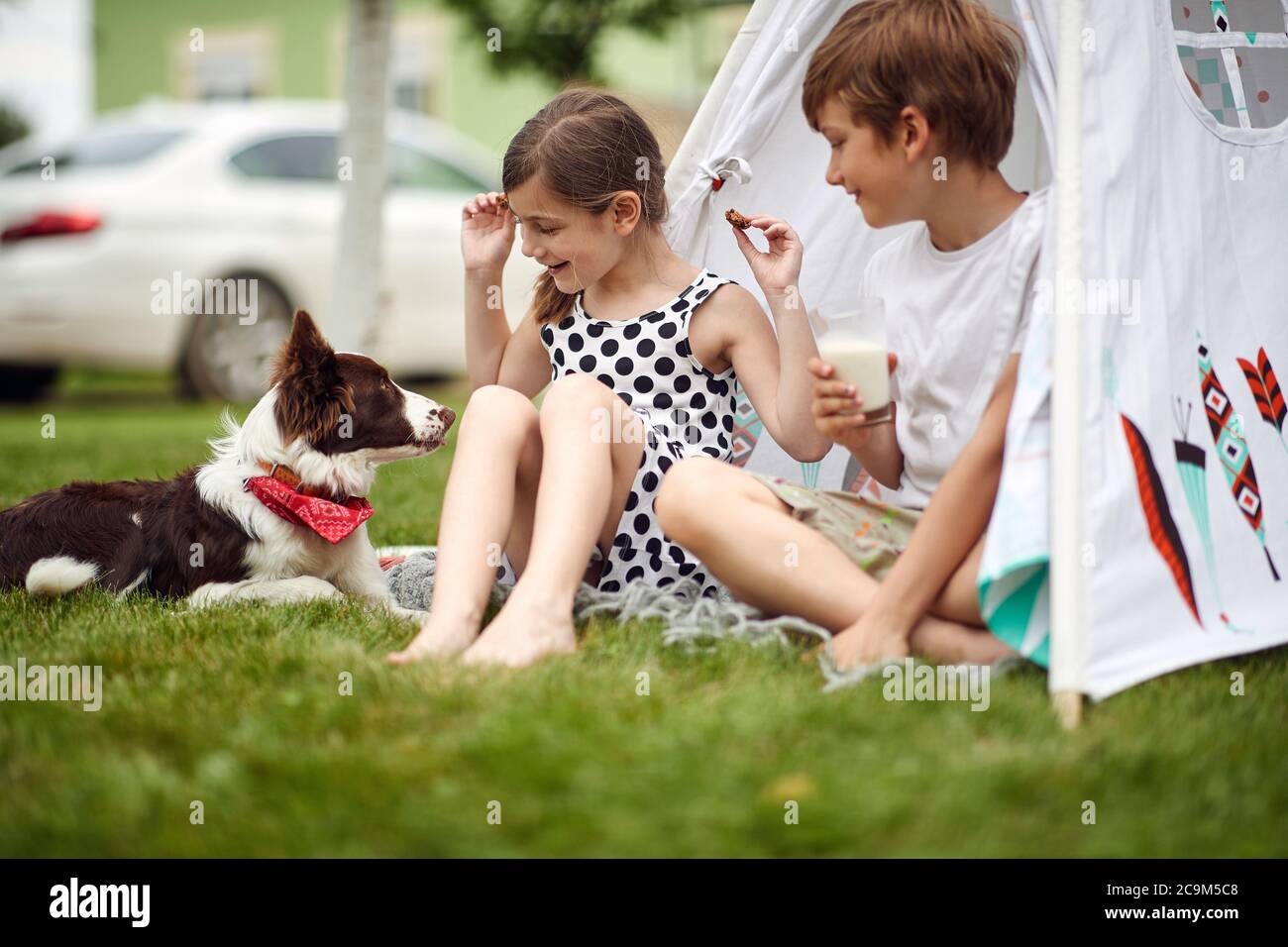Felici i bambini e il loro cane in un piccolo campo Foto Stock