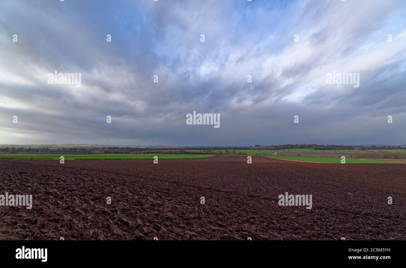 Guardando giù il pendio di un campo recentemente arato fatto pronto per le colture invernali tra i verdi terreni agricoli di Angus in una giornata piovosa con le nuvole basse. Foto Stock