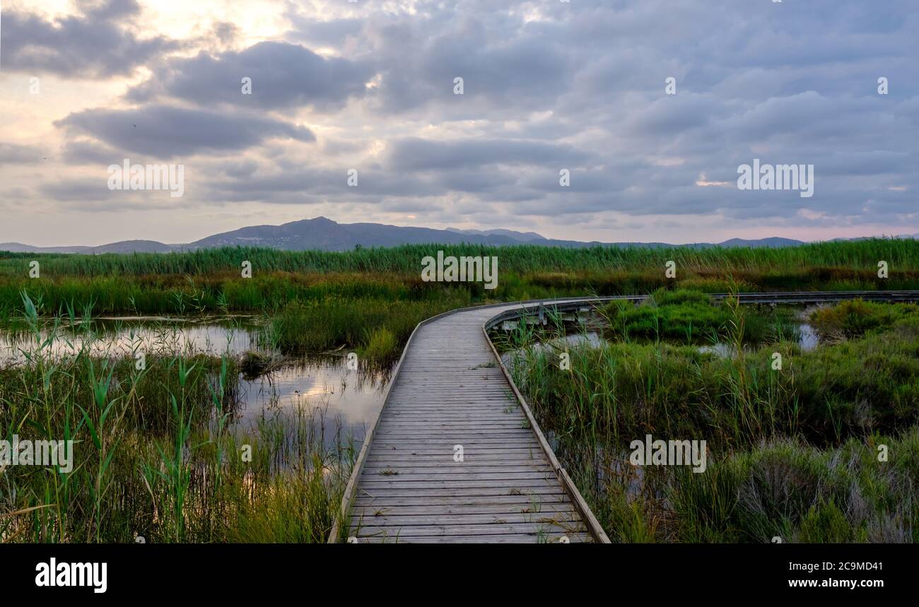 Marjal del Moro wetland riserva naturale ponti pedonali sulle acque a Valencia Spagna Foto Stock