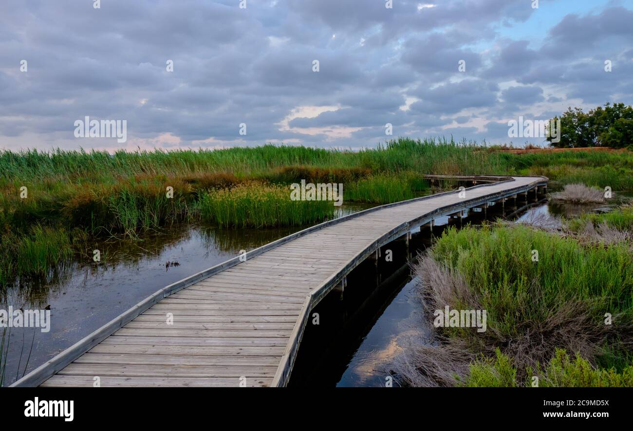 Marjal del Moro wetland riserva naturale ponti pedonali sulle acque a Valencia Spagna Foto Stock