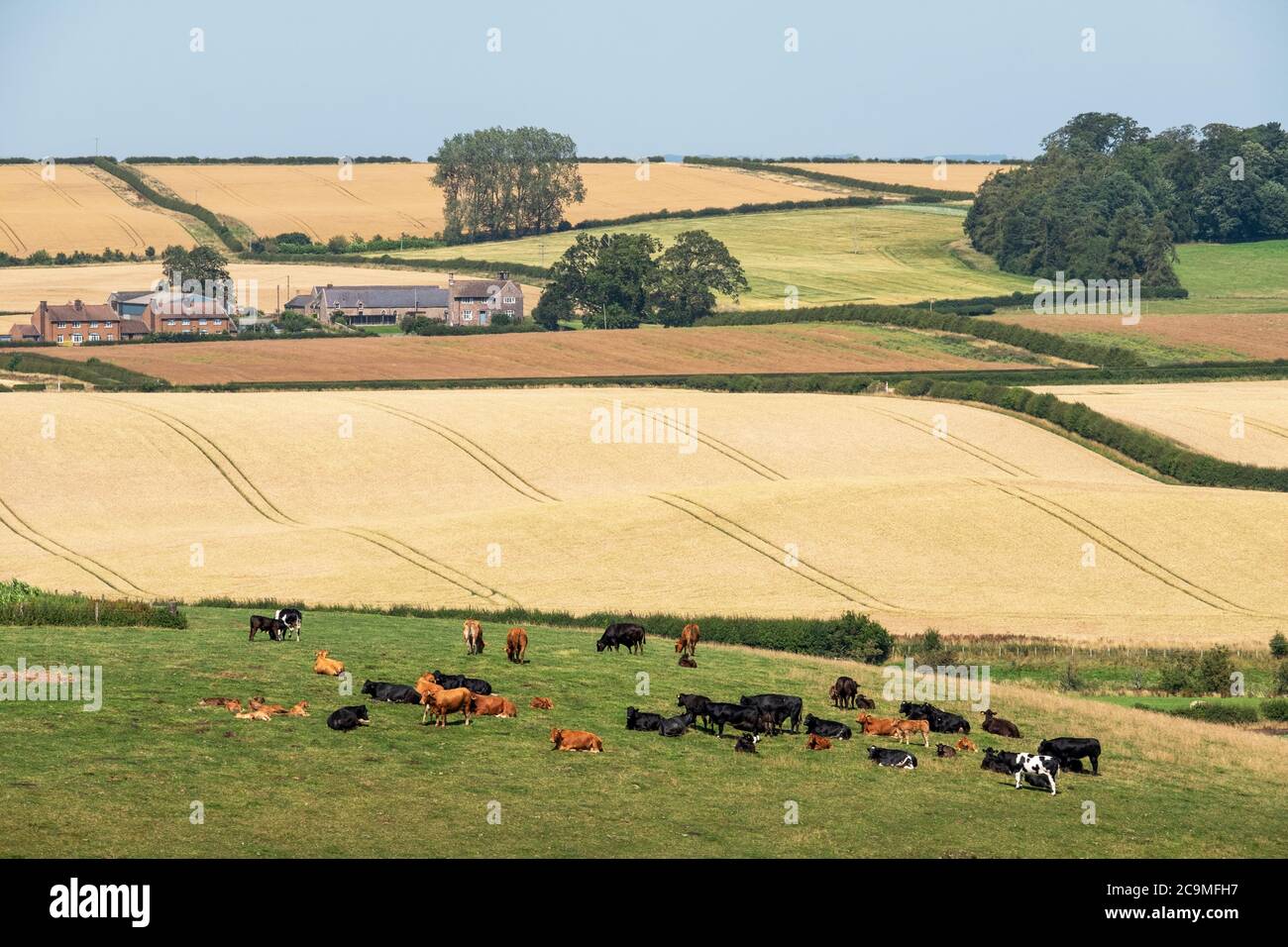 Scena rurale che mostra terreni agricoli vicino a Branxton, Northumberland, Inghilterra. Foto Stock