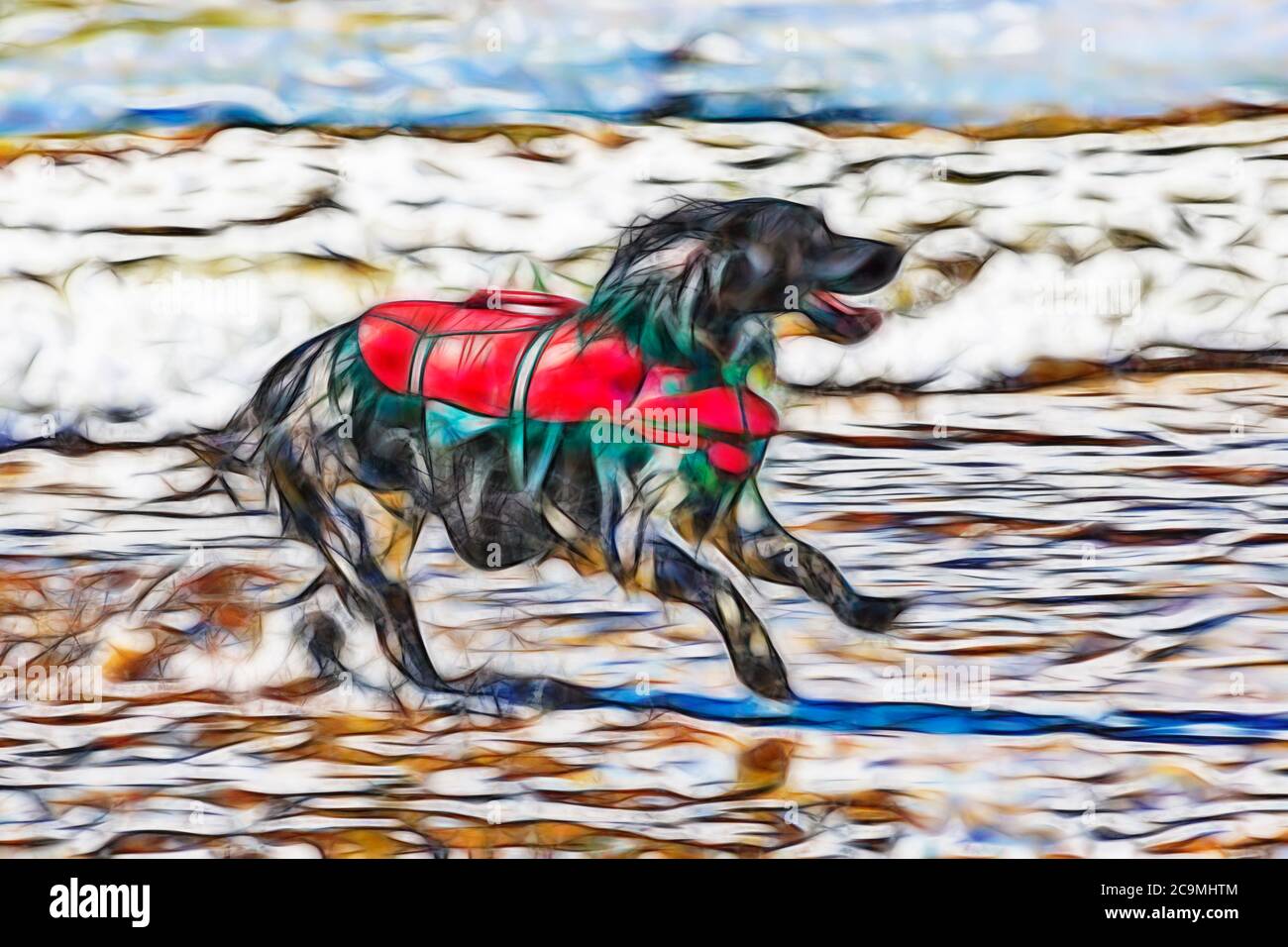 Fractalius cane che corre lungo mare a Poole, Dorset UK nel mese di luglio - abstract Foto Stock
