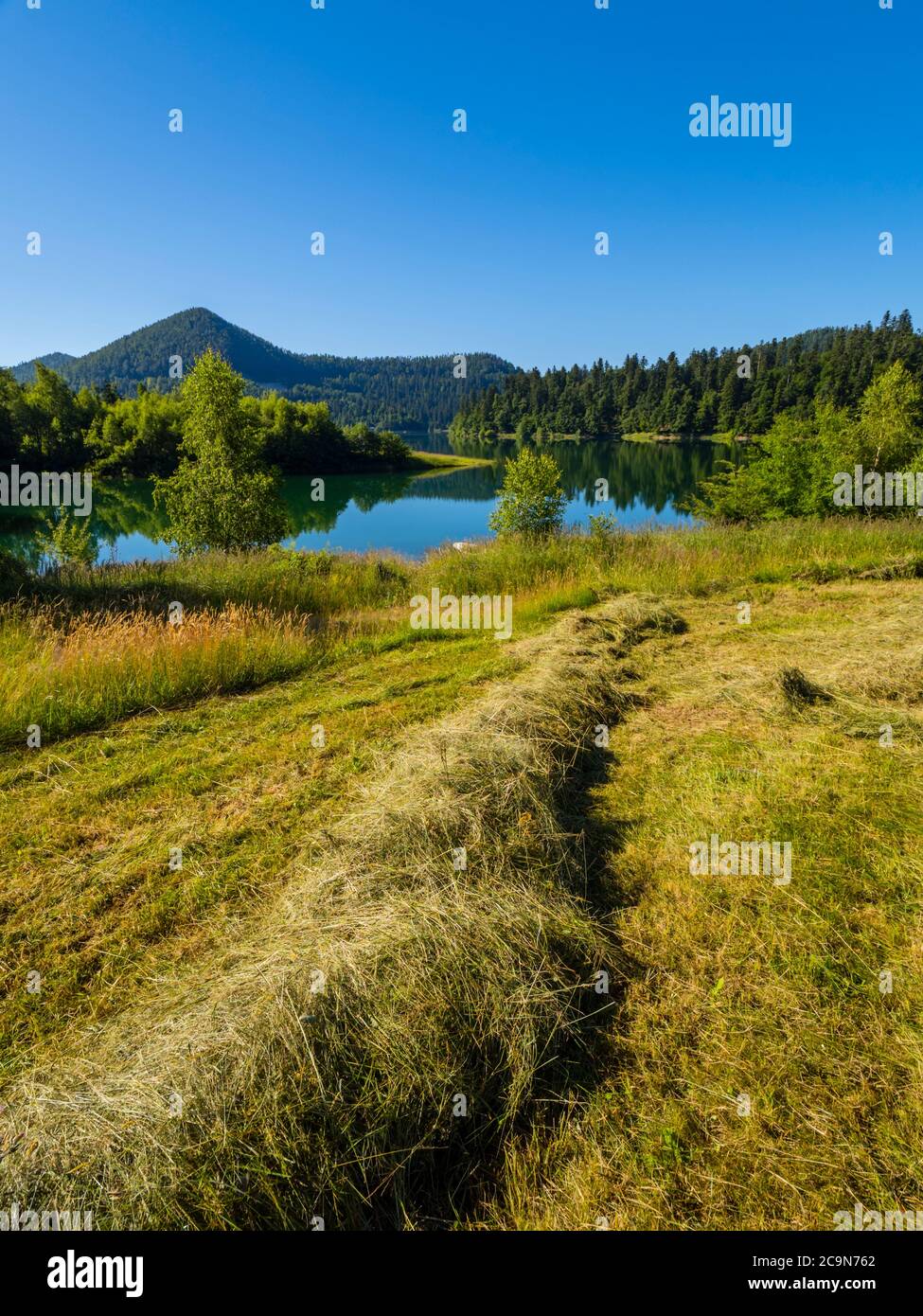Bella natura del lago di Lokve in Croazia Europa Foto Stock