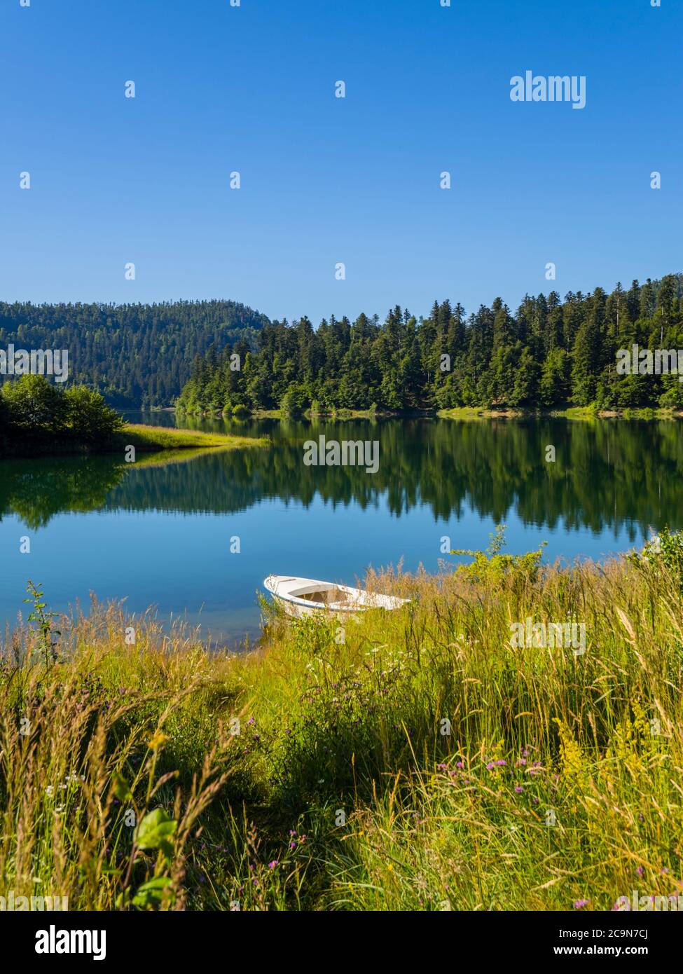 Solo barca ormeggiata bella natura del lago Lokve in Croazia Europa Foto Stock